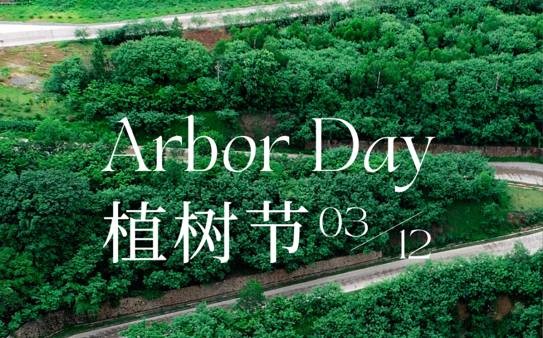 植樹(shù)節(jié) | 海南礦業(yè)的綠色畫(huà)卷