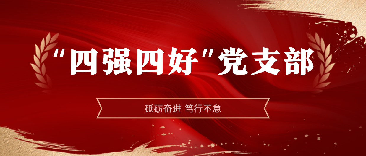 弘揚(yáng)榜樣精神 | 海南礦業(yè)2024-2025年度“四強(qiáng)四好”黨支部